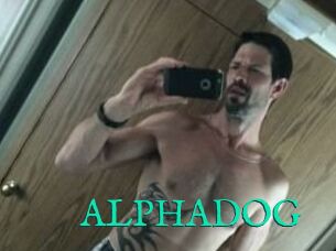 ALPHADOG