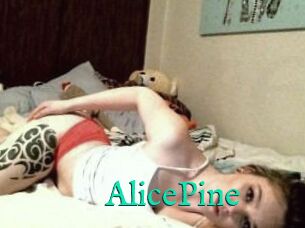 AlicePine