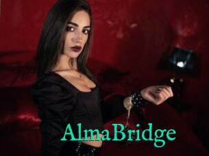 AlmaBridge