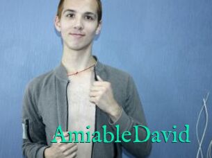 AmiableDavid