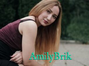 AmilyBrik