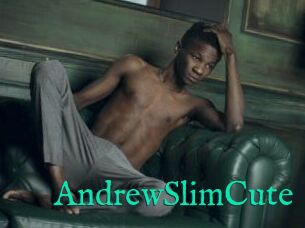 AndrewSlimCute