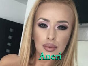 Aneri