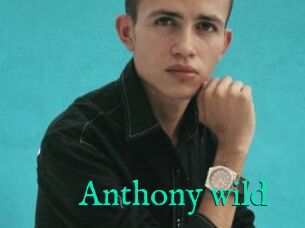 Anthony_wild