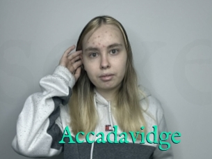 Accadavidge