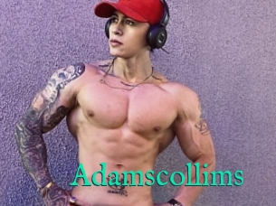 Adamscollims