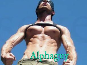 Alphaguy