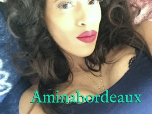 Aminabordeaux