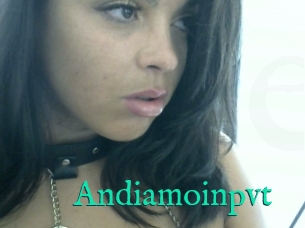 Andiamoinpvt