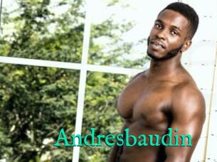 Andresbaudin