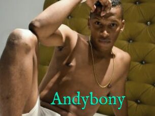 Andybony