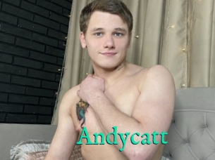 Andycatt