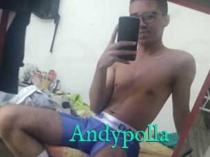 Andypolla