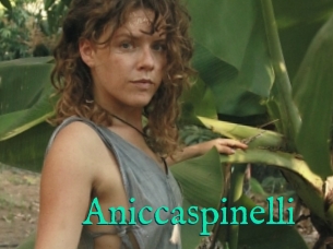 Aniccaspinelli