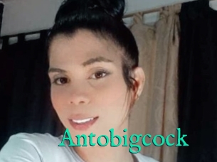 Antobigcock