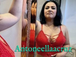 Antoneellaacruz