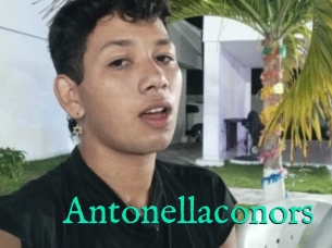 Antonellaconors