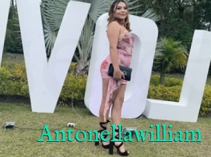 Antonellawilliam