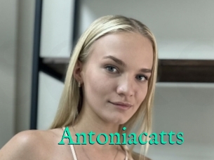 Antoniacatts