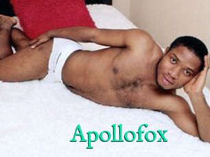 Apollofox