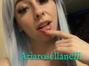 Ariarosellanelli