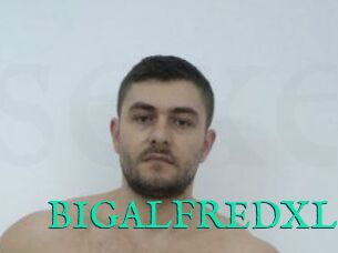 BIGALFREDXL