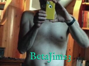 BetaJim23