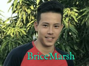 BriceMarsh