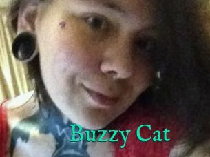 Buzzy_Cat