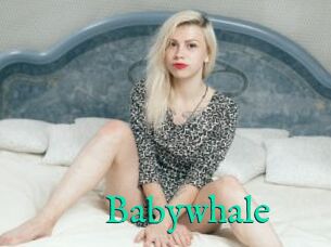 Babywhale