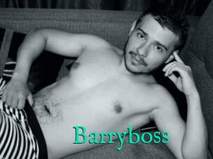 Barryboss