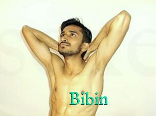 Bibin