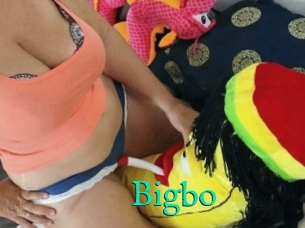 Bigbo