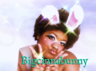 Bigcinnabunny