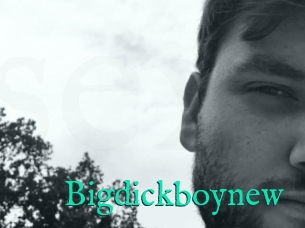 Bigdickboynew