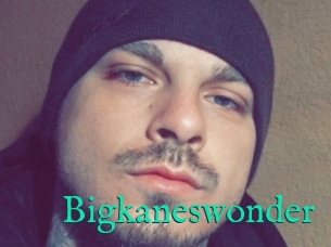 Bigkaneswonder