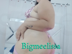 Bigmeelissa