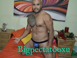 Bigpectatooxu