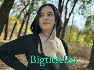 Bigtitselisa