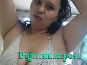 Bigtitsmariposa