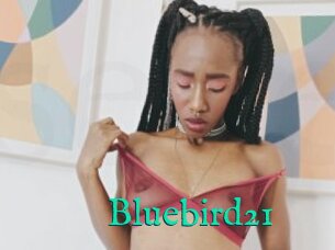 Bluebird21