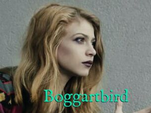 Boggartbird