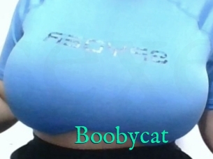 Boobycat