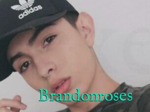 Brandonroses