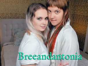 Breeandantonia