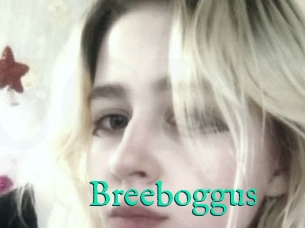 Breeboggus