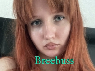 Breebuss