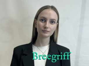 Breegriff