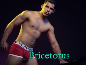 Bricetorus