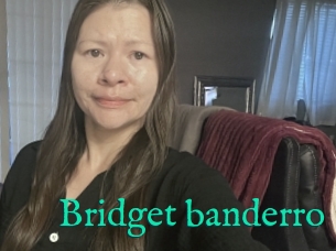 Bridget_banderro